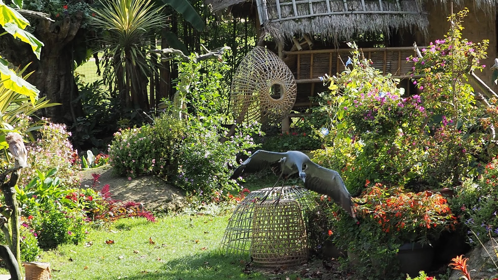 Mer Nature Contrastes Tropical Parc SaintJacutlesPins ; voyage dans