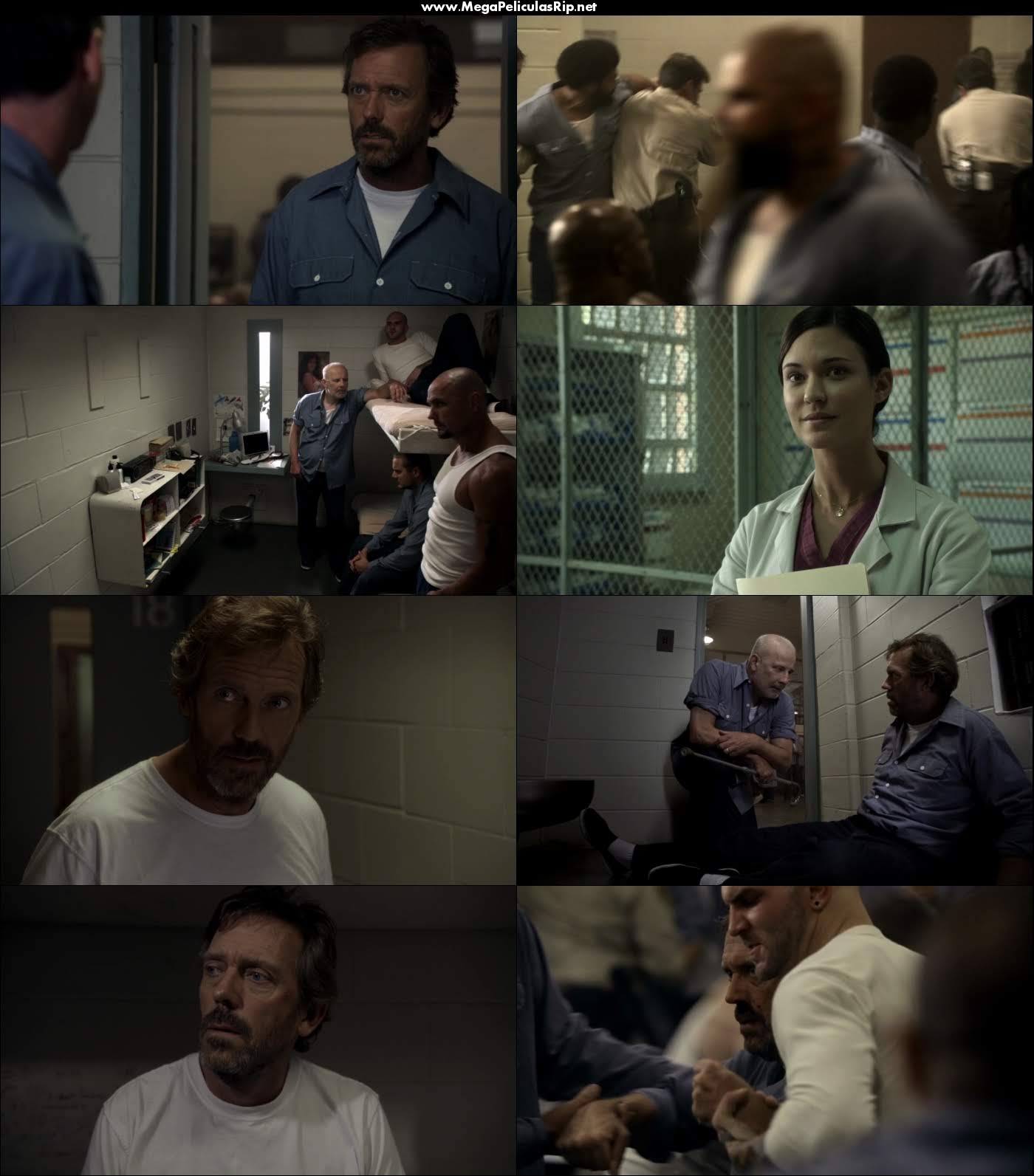 Dr House Temporada 8 720p Latino