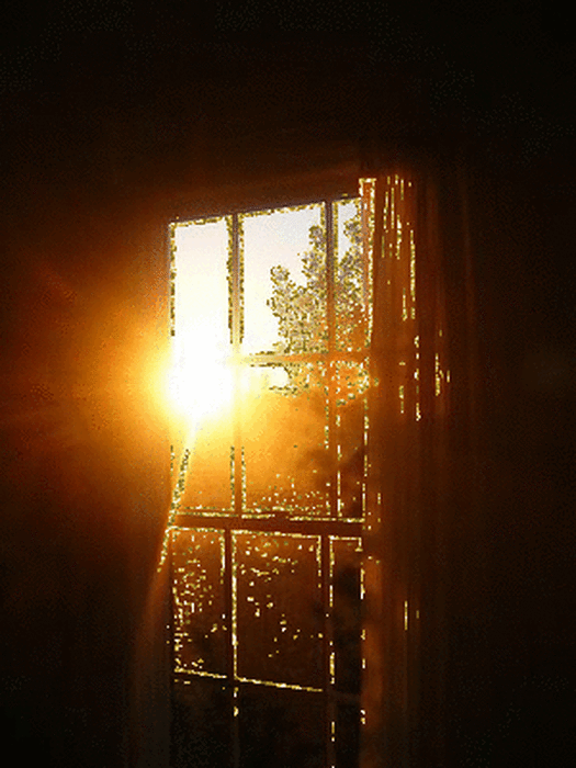 За окном светило солнышко. Солнце в окне. Свет в окне. Луч солнца в окне. Солнечные лучи в окне.