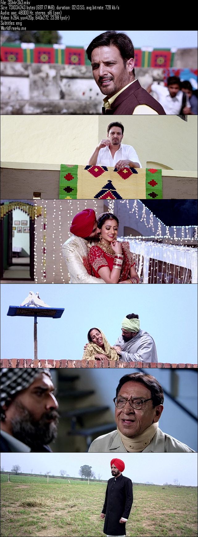 ScreenShots Of Shareek 2015 Full Movie Download HD DVDRip Punjabi ESubs Watch Online
