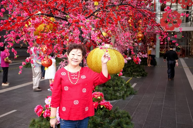 ReviewGuru: Chinese New Year in Malaysia vs Singapore