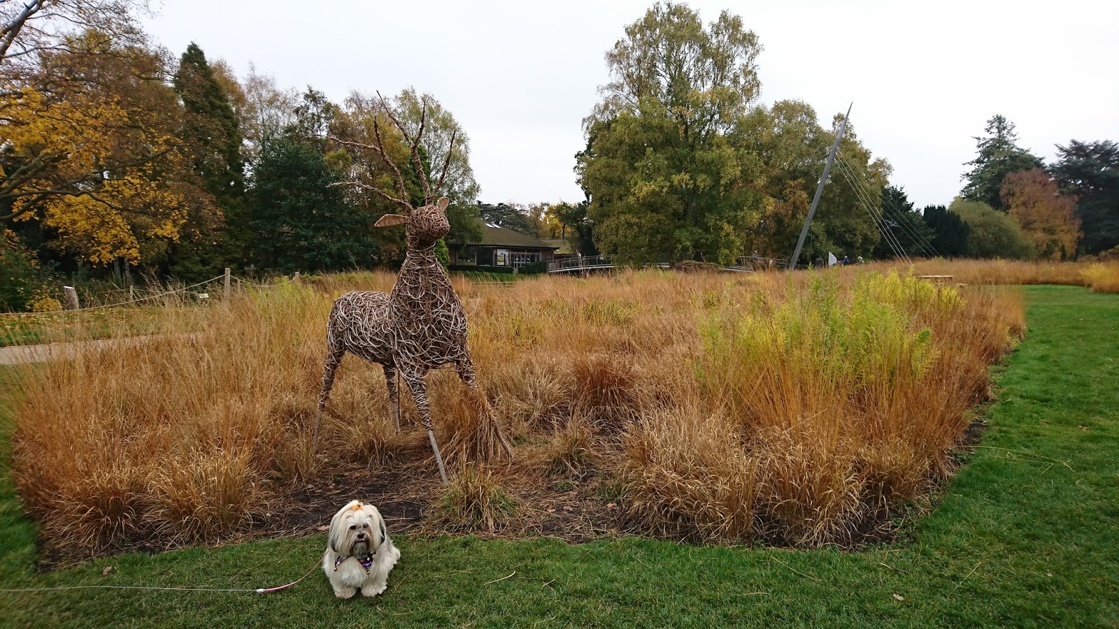 Trentham Gardens The Trentham Estate Staffordshire Paws across