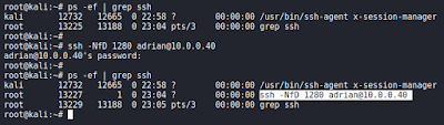 Estableciendo tunel ssh port forwarding dynamic