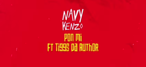 Navy kenzo ft Tiggs da author - Pon mi