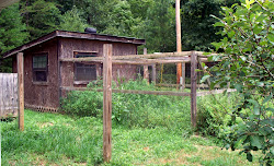 chicken coop chic shabby potting country shed