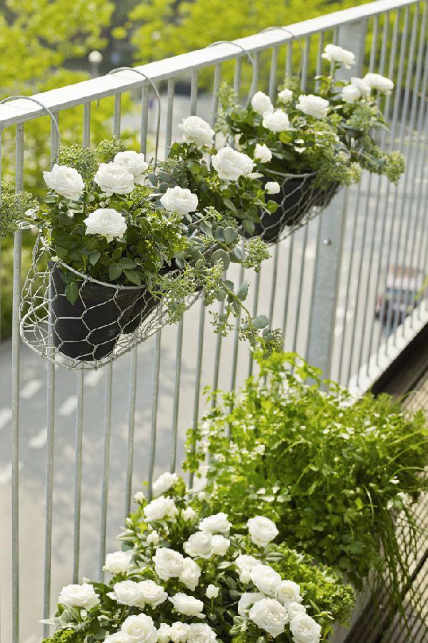 Creative Balcony Garden Design Ideas for Gardeners Boo Gardening