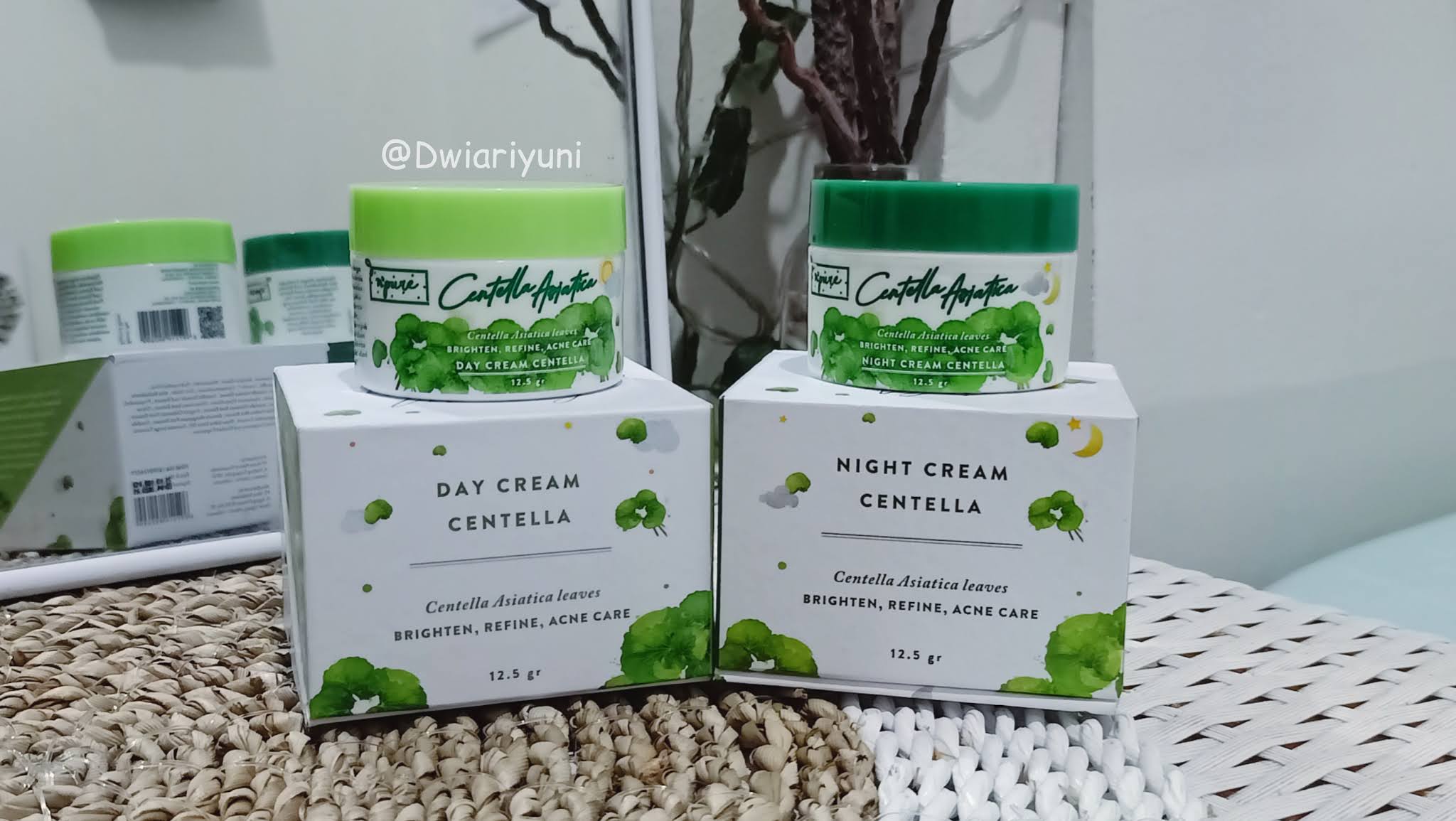 Review N’PURE Day + Night Cream Centella Asiatica Fun Beauty Traveler
