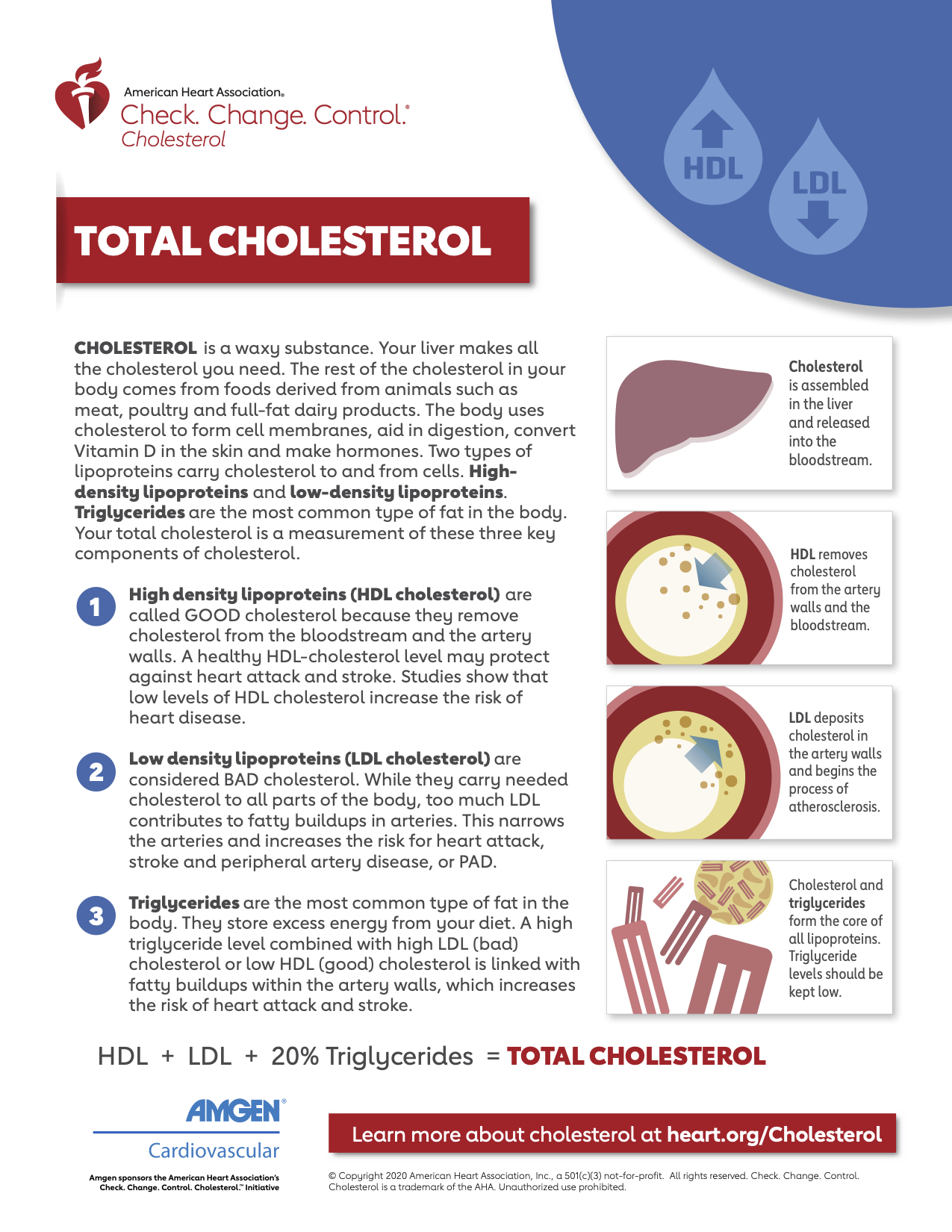 High Cholesterol & Medications