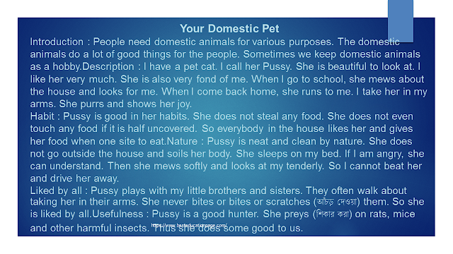 Composition, Essay, paragraph,  Your Domestic Pet