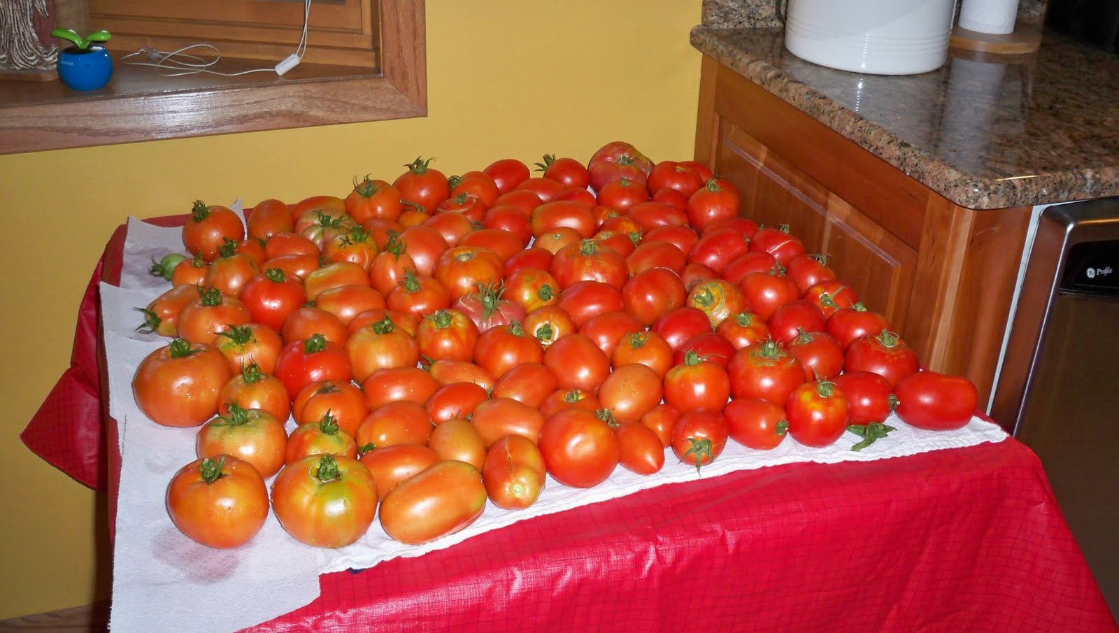 Fresh from the Garden Tomato Eats