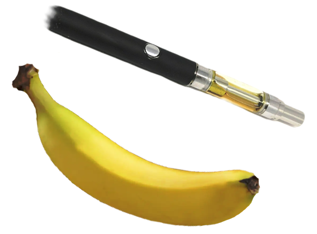 sigaretta elettronica ERS