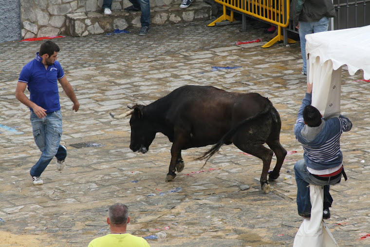 SAN JORGE 2011