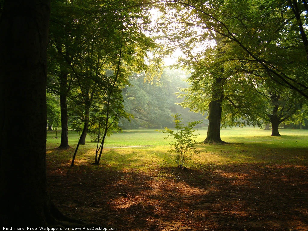 Nature Summer Wallpapers | Wallpapers Stocks