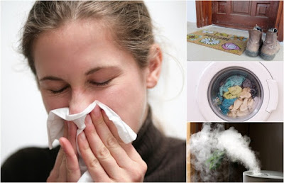 12 Ways To Naturally Flu-Proof Every Spot In Your Home 12 Ways To Naturally Flu-Proof Every Spot In Your Home