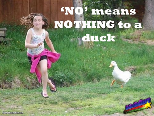 No Means Nothing To A Duck