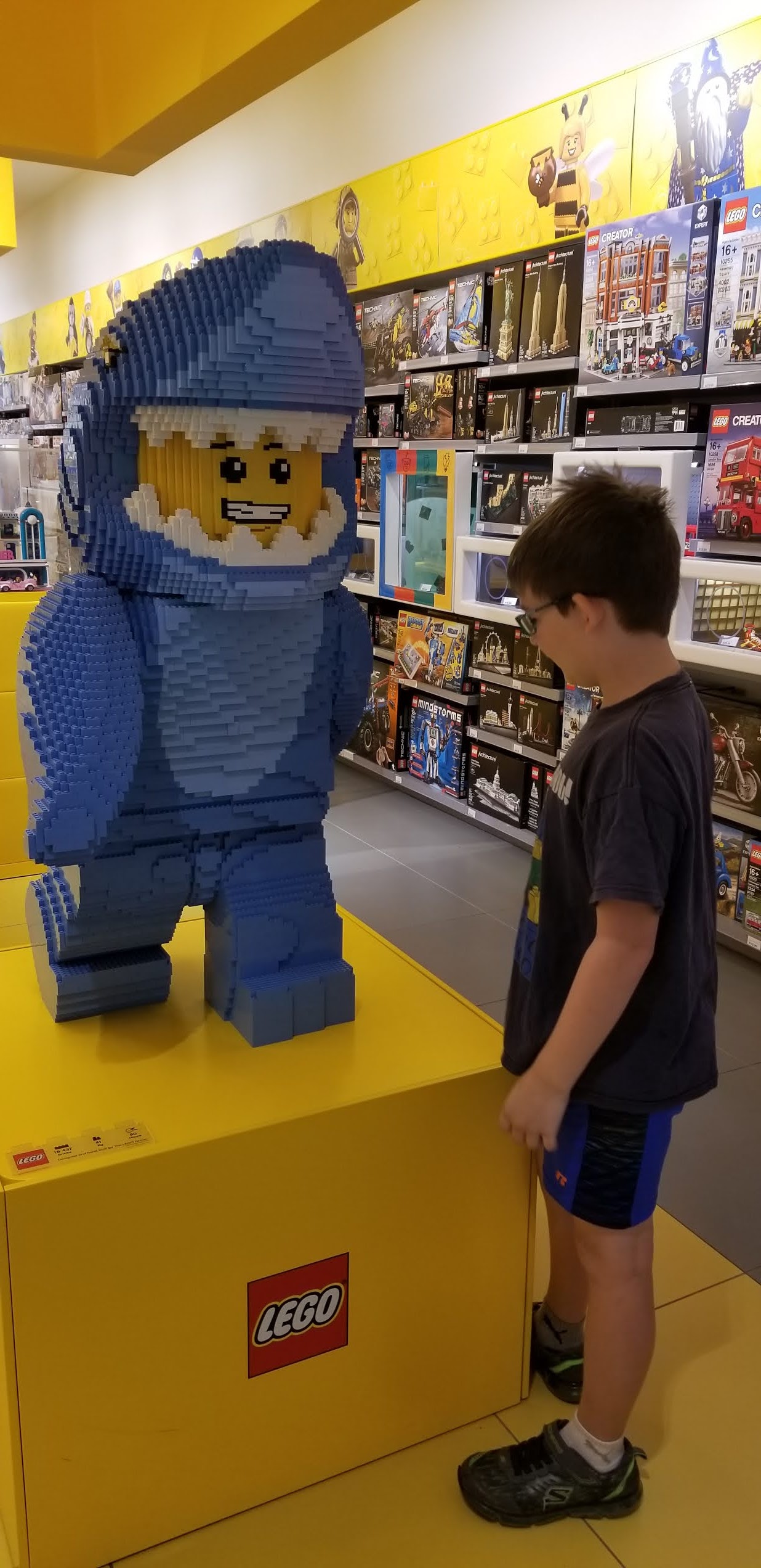 Girl Meets Brick FUN STUFF New Lego Store In Albany, NY