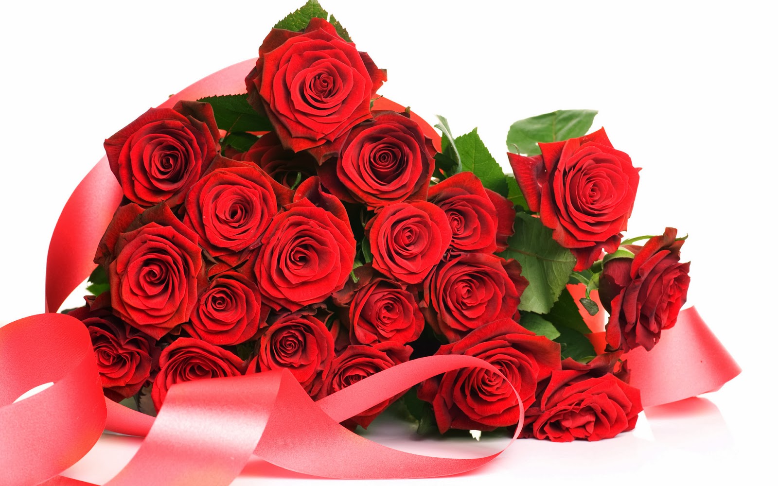 Red Rose HD Flowers Wallpapers - Flowers