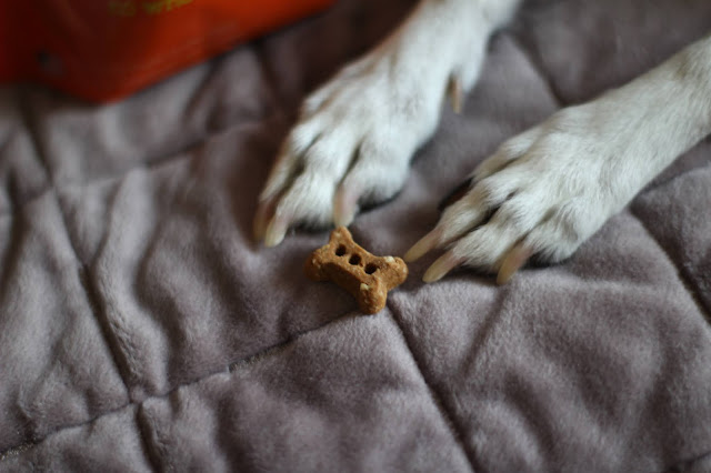 riley's organic dog treats