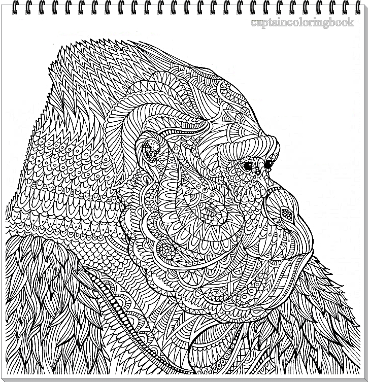 Tier Mandalas Für Erwachsene Zum Ausdrucken Kostenlos Tier Mandalas Für Erwachsene Zum Ausdrucken Kostenlos