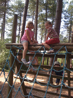 rope climbing frame in forest of bere adventure playground