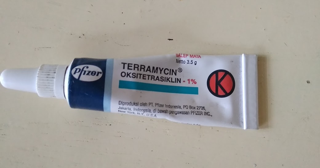 Cara Ampuh Mengobati Mata Kucing Bengkak, Berair dan Belekan