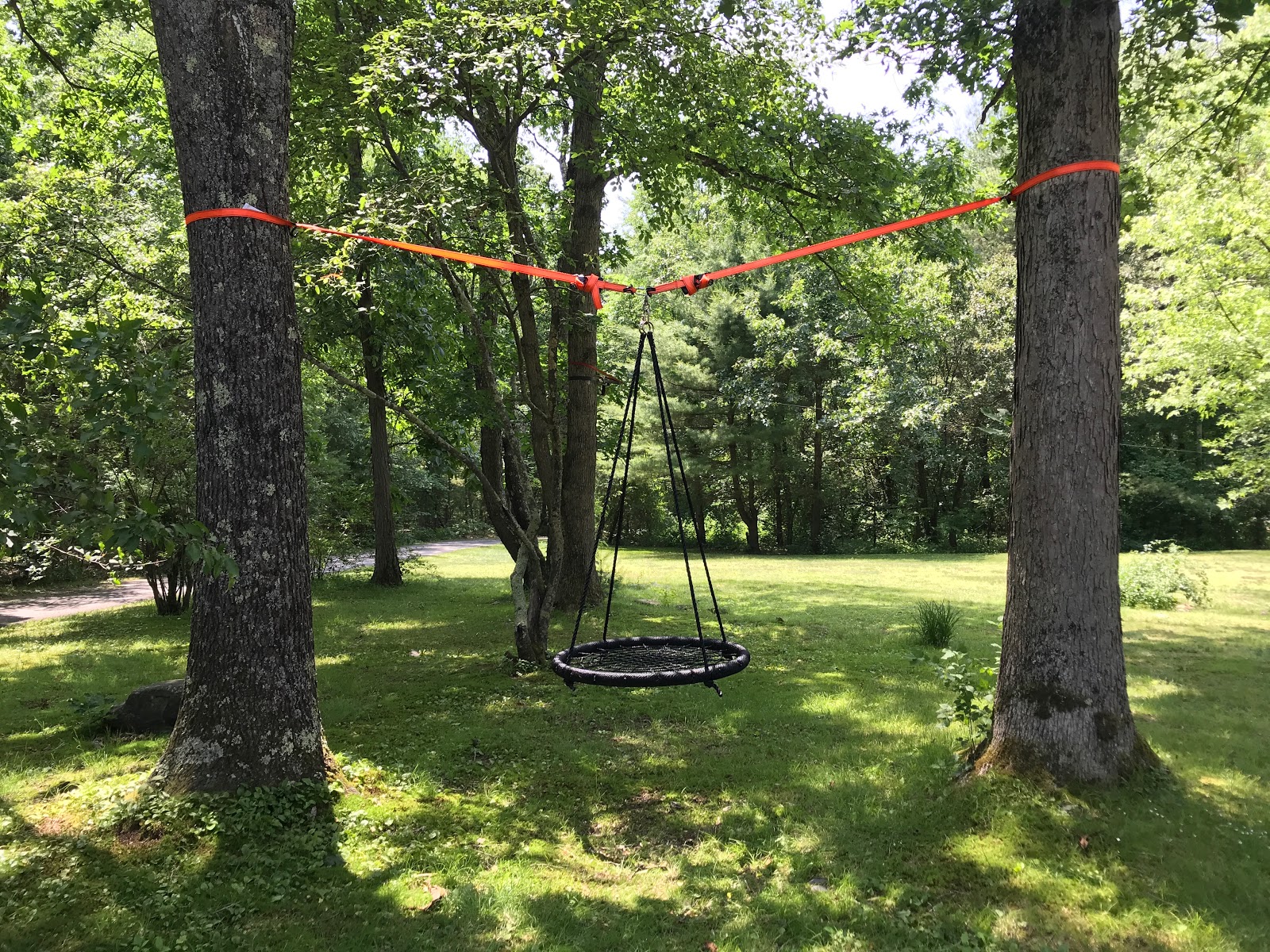 In this guide i explain how to hang a swing from a tree with no branches, b...