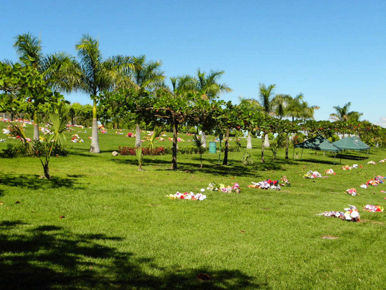 Parque Jardín Los Olivos Galeria de Parque Jardín Los Olivos