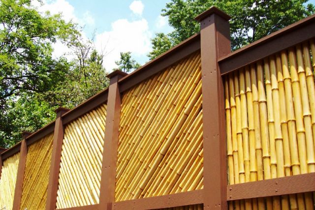  18 desain pagar  bambu cantik nan unik minimalis  
