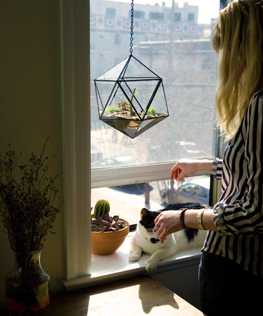 Handmade Hanging And Table top plants Terrariums