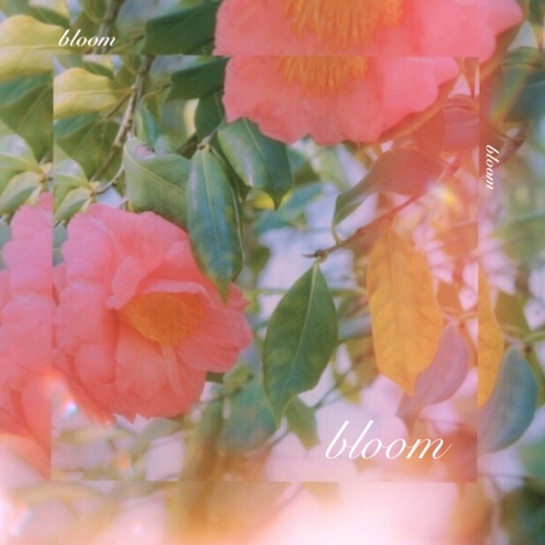 LoveSong – Bloom – Single