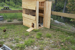 chicken coop plans different found simple several research going through guide build