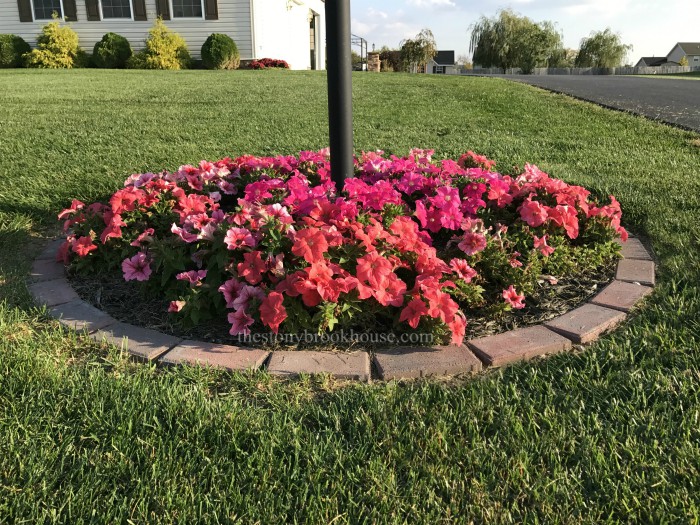 How To Install Brick Garden Borders The Easy Way Stonybrook House - How To Install A Brick Garden Border How To Install Brick Garden Borders The Easy Way Stonybrook House - How To Install A Brick Garden Border