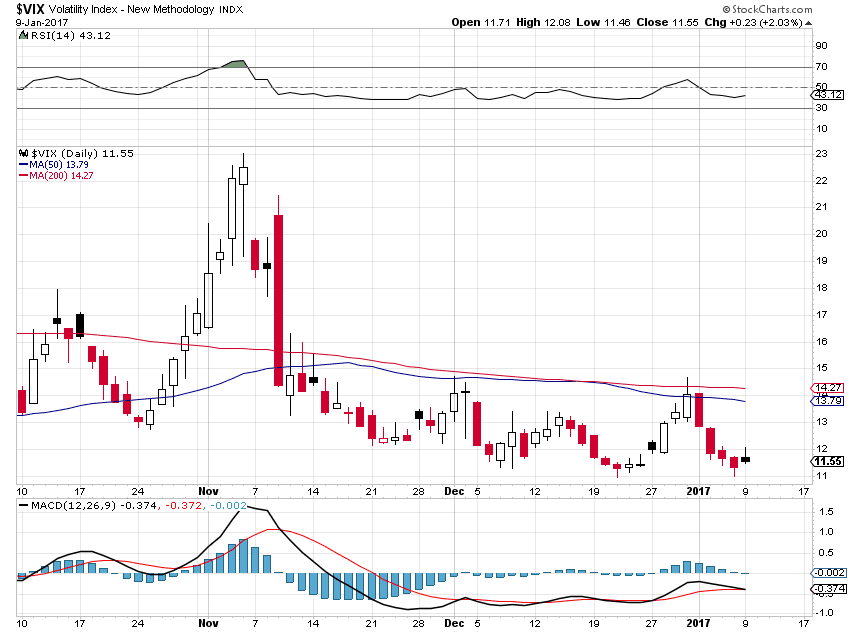 vix.PNG (850×633)