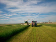 Forage harvester. Claas Jaguar