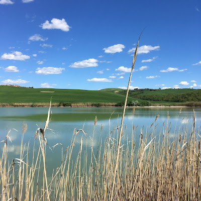 Le crete senesi dal Castello di Leonina