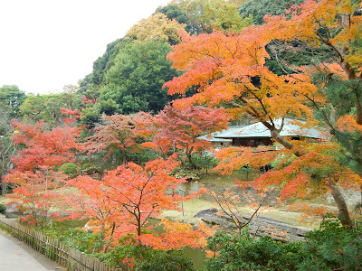 �~�o���̍g�t