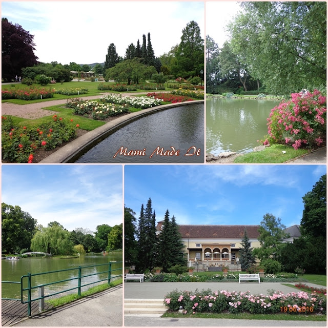 Rose Garden Baden - Rosarium Baden