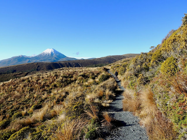 THE ROAD TAKEN : NZ 2019: A Look Back, North Island Part 2