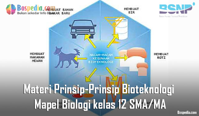 Materi Prinsip-Prinsip Bioteknologi Mapel Biologi kelas 12 SMA/MA