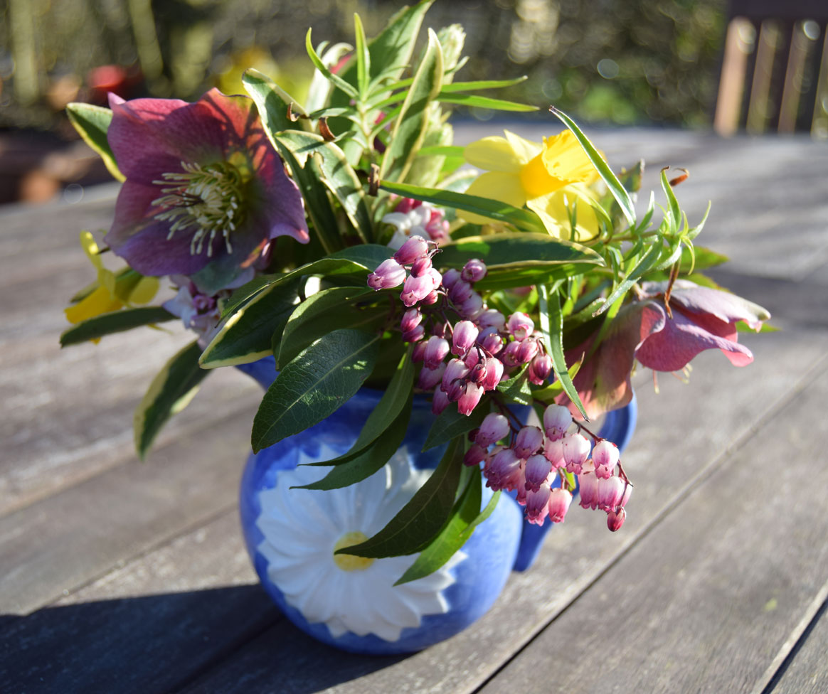 A Blog about Compost Daphne odora In a Vase on Monday
