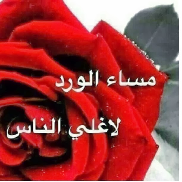 صور مساء الخير