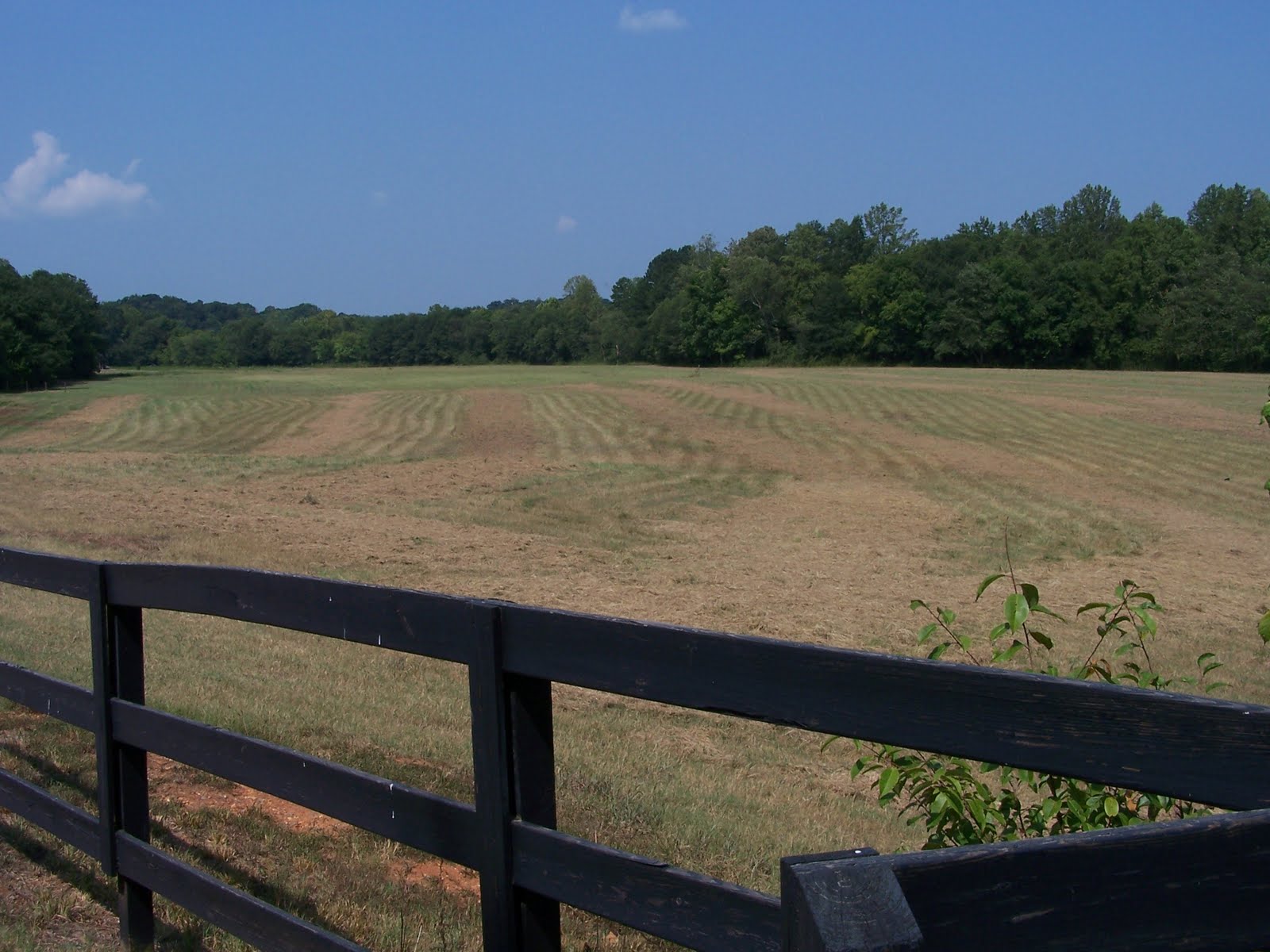 Cartersville Bartow County Real Estate Custom All Brick Estate Home on