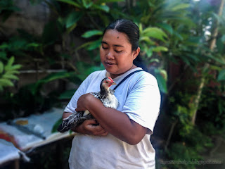 A Woman Love Chicken Pets In The House Garden