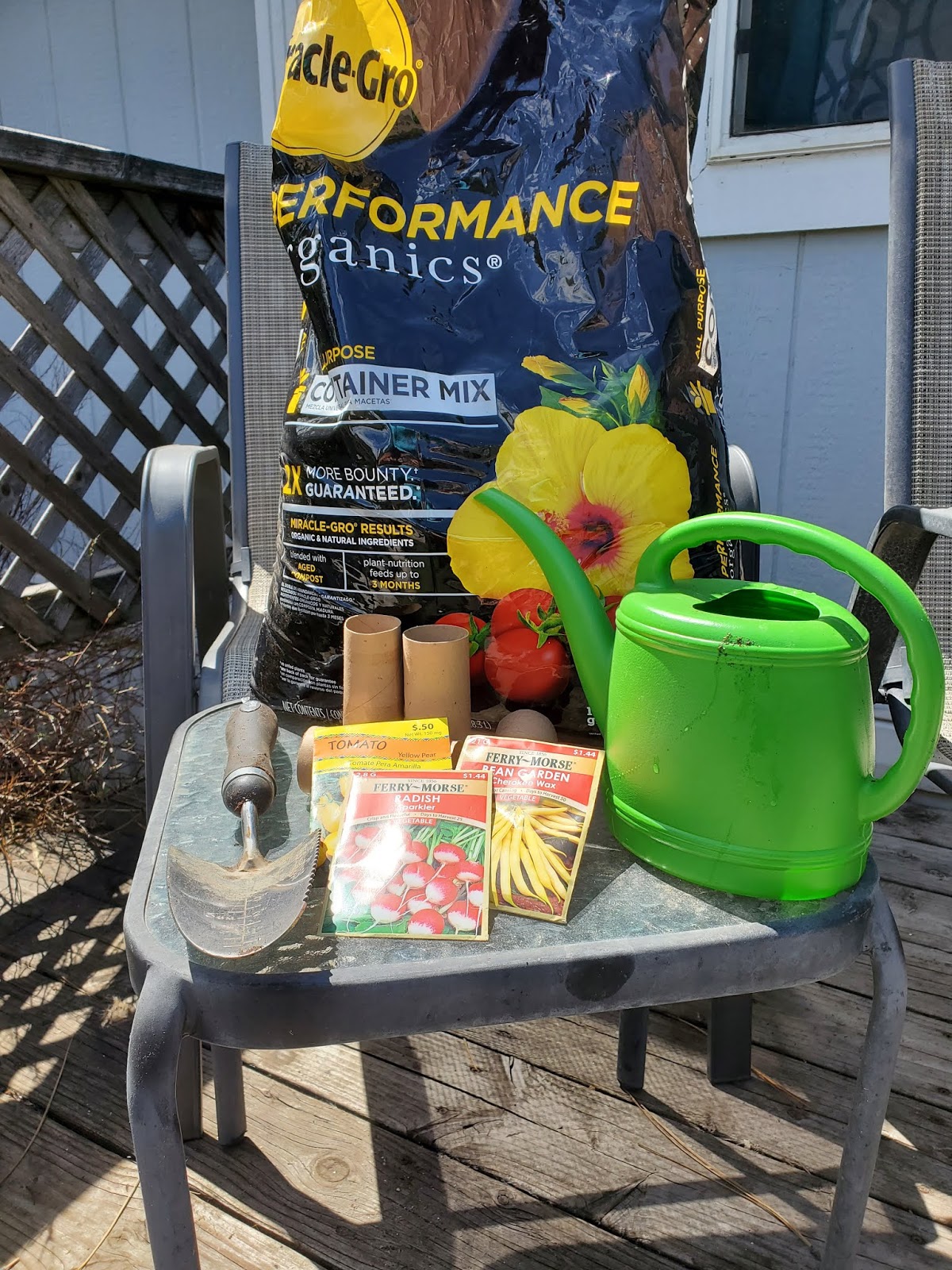 Toilet Paper Roll Planting