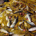 Πρέβεζα:Εκλεψε  85 κιλά  αλιεύματα από ιχθυοκαλλιέργεια !