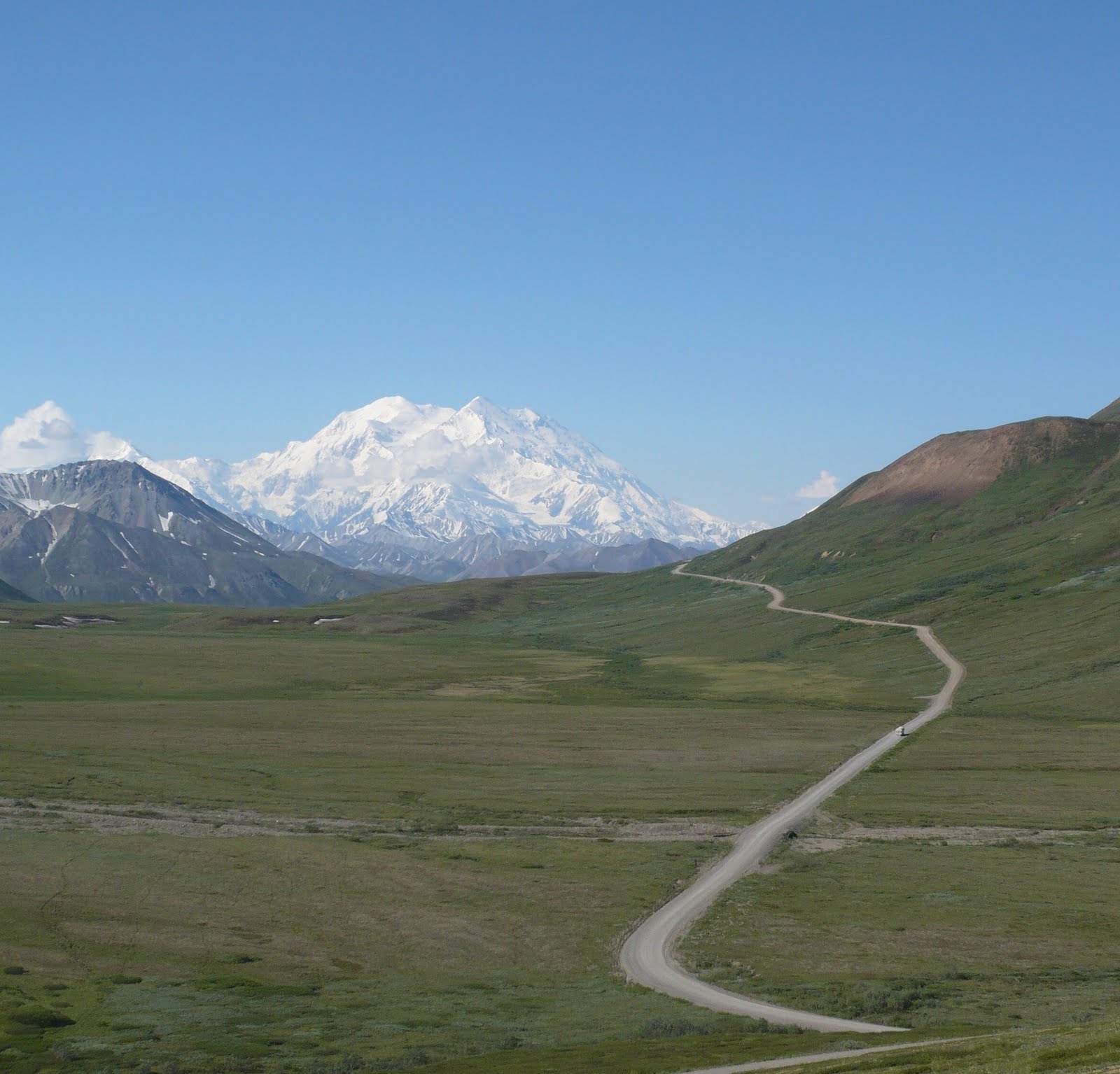 Travel Tips The Denali Road Lottery