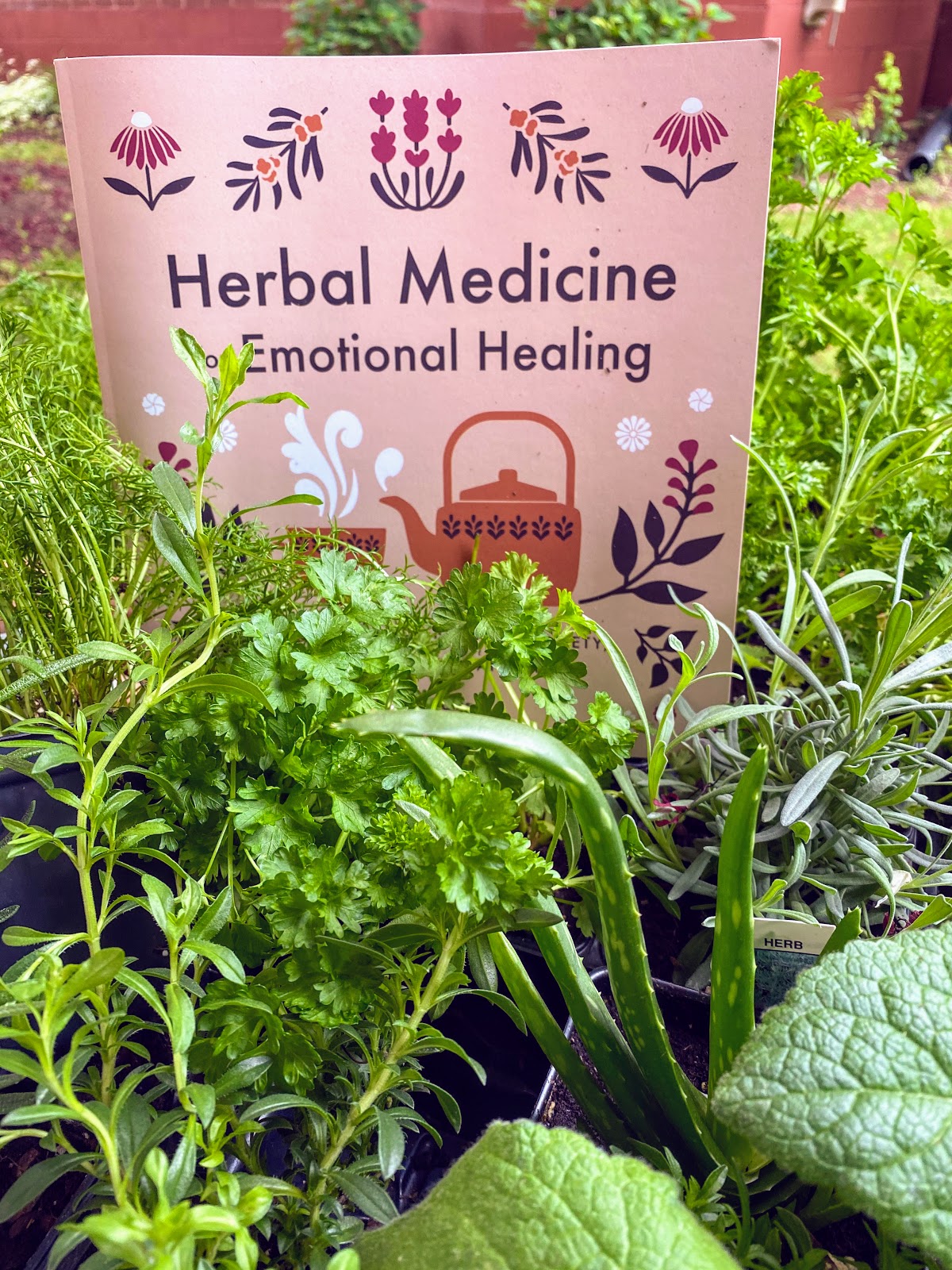 Rosemary's Sampler Herbal Medicine for Emotional Healing A Book Review