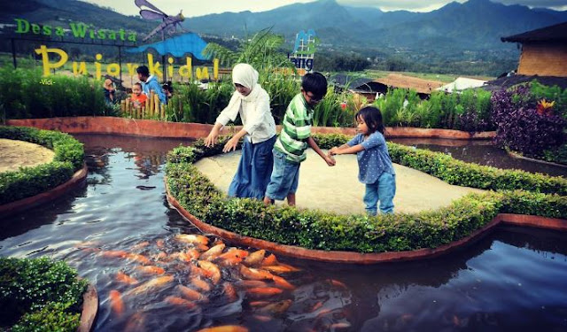 Playground Tengah Sawah Desa Wisata Pujon Kidul, Malang