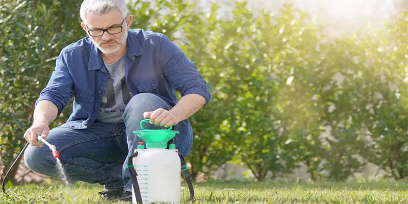 How to Choose the Best Weed Sprayer