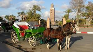 Marrakech Excursiones